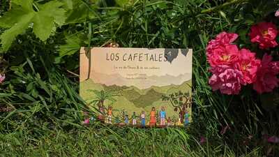 Image de Los Cafetales