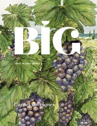 Picture of BIG – SAINT-TROPEZ N°5 / Carnet de vignes