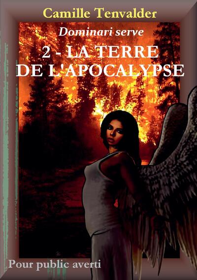 Picture of DOMINARI SERVE Tome 2