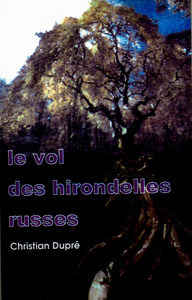 Image de Le vol des hirondelles russes
