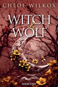 Image de Witch & Wolf