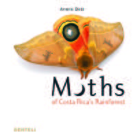 Image de MOTHS OF COSTA RICA S RAINFOREST