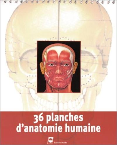 Image de PLANCHES ANATOMIQUES VERSION SPIRALE