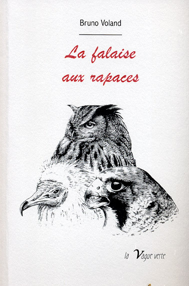 Picture of La falaise aux rapaces