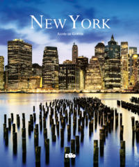 Picture of New-York