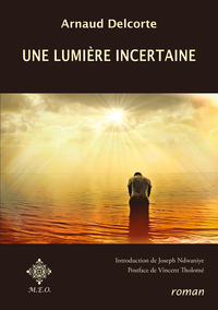 Picture of Une lumière incertaine