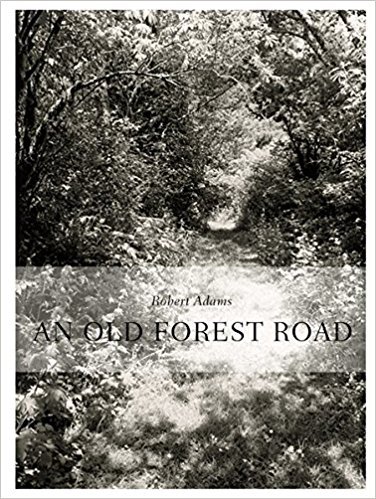 Image de Robert Adams An Old Forest Road /anglais