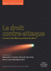 Picture of Droit contre-attaque