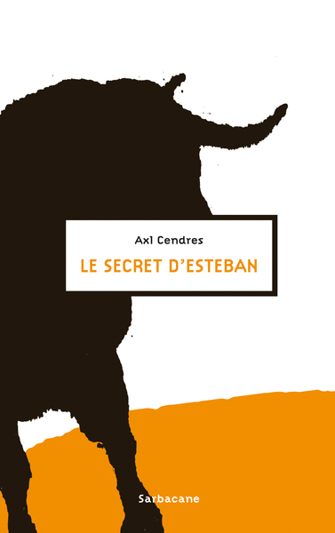 Picture of Le secret d'Esteban