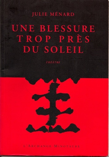 Image de Une blessure trop près du soleil