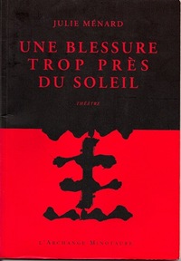Image de Une blessure trop près du soleil