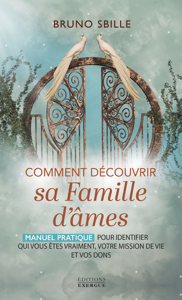 Picture of Comment découvrir sa famille d'âmes ? - Manuel pratique pour identifier qui vous êtes vraiment, votre mission de vie et vos dons