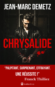 Image de Chrysalide