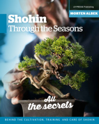 Picture of Shohin through the seasons