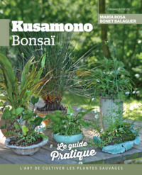Picture of Kusamono bonsaï