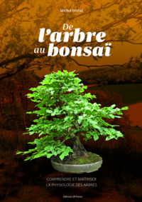 Picture of De l'arbre au bonsaï