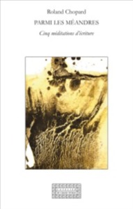 Image de Parmi les méandres - cinq méditations d'écriture