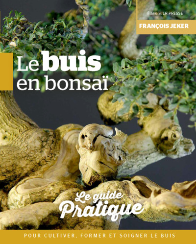 Image de Le buis en bonsaï