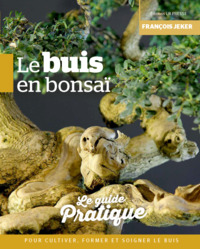 Picture of Le buis en bonsaï