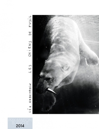Image de LES CHIENS DE FUSIL - PRIX MAISON BLANCHE 2014