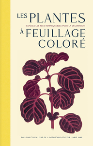 Picture of Les plantes à feuillage coloré - Les espèces les plus remarquables pour la décoration