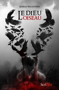 Image de Le Dieu oiseau