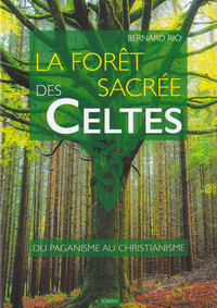 Image de La forêt sacrée des Celtes