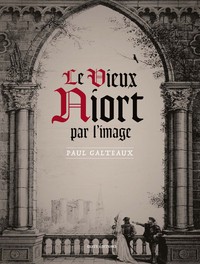 Image de VIEUX NIORT PAR L'IMAGE (GESTE)  (BP)