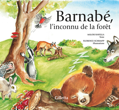 Image de Barnabé, l'inconnu de la forêt