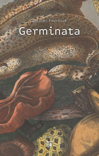 Image de Germinata