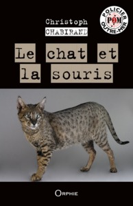Image de Le chat et la souris