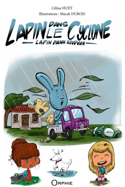 Image de Lapin dans le cyclone