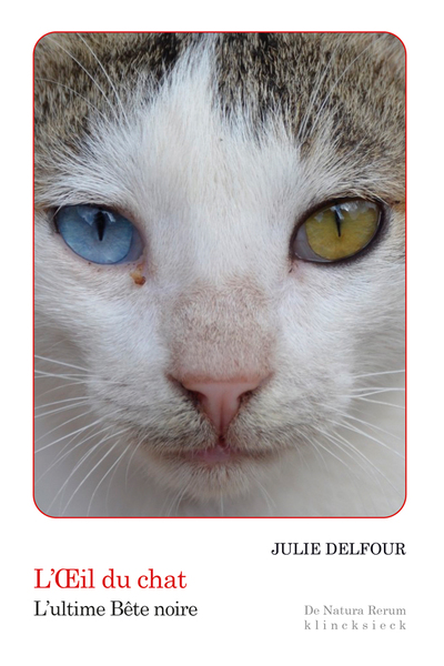 Picture of L’Œil du chat