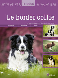 Picture of Border collie