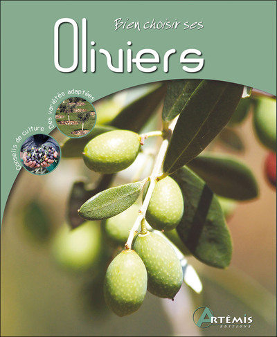 Image de Oliviers