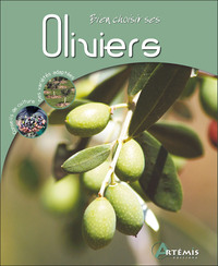 Image de Oliviers