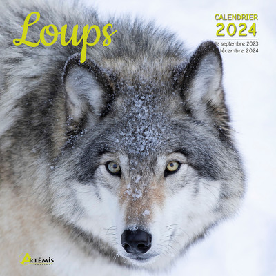 Picture of Calendrier Loups 2024