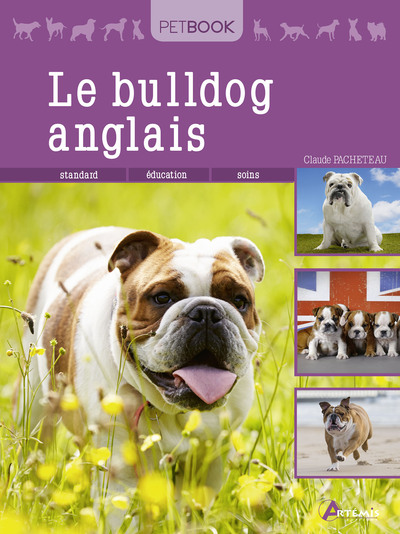 Picture of Le bulldog anglais