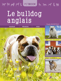 Picture of Le bulldog anglais