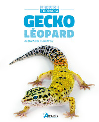 Picture of Gecko léopard
