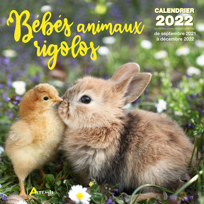 Picture of Calendrier Bébés animaux rigolos 2022