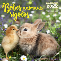 Picture of Calendrier Bébés animaux rigolos 2022