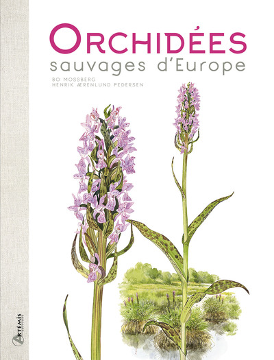 Image de Orchidées sauvages d'Europe