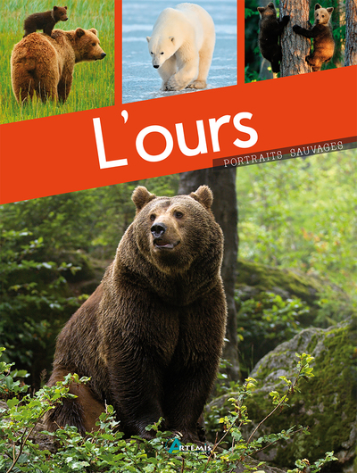 Image de L'ours