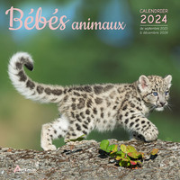 Picture of Calendrier Bébés animaux 2024