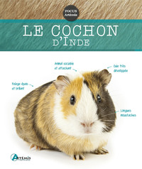 Image de Cochon d'Inde