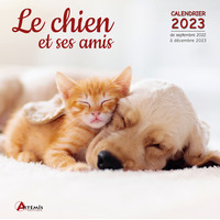 Image de Calendrier le chien et ses amis 2023