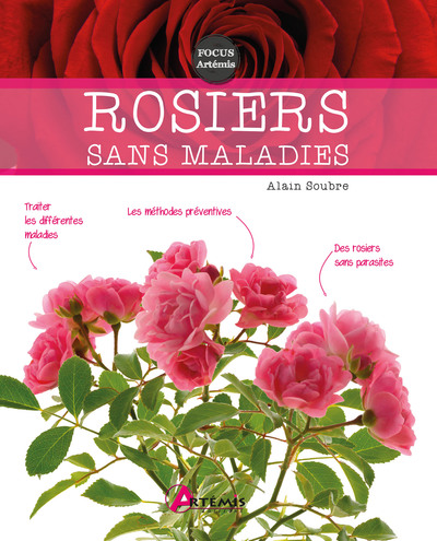 Picture of Rosiers sans maladies