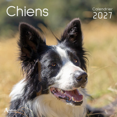 Picture of Calendrier Chiens 2027