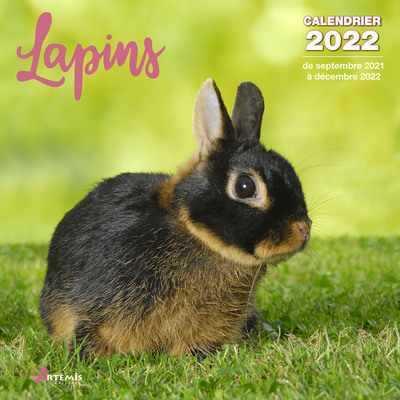 Picture of Calendrier Lapins 2022
